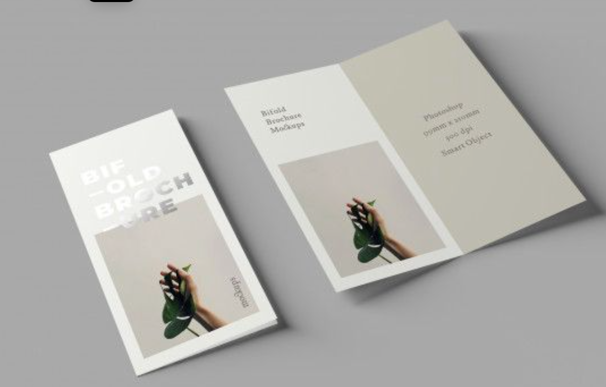 Double DL Brochures