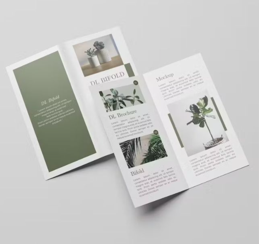 Double DL Brochures