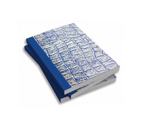 Docket Books